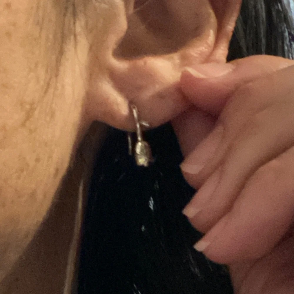 Solitaire Hanging Rose Silver Earrings